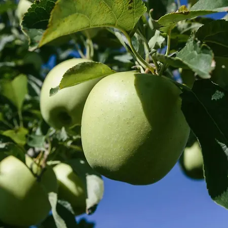 Appartement En Sant Pere Pescador: 3 Habitaciones, A/a, Jardin Y Piscina Comunitarios - Es-89-122 Sant Pere Pescador